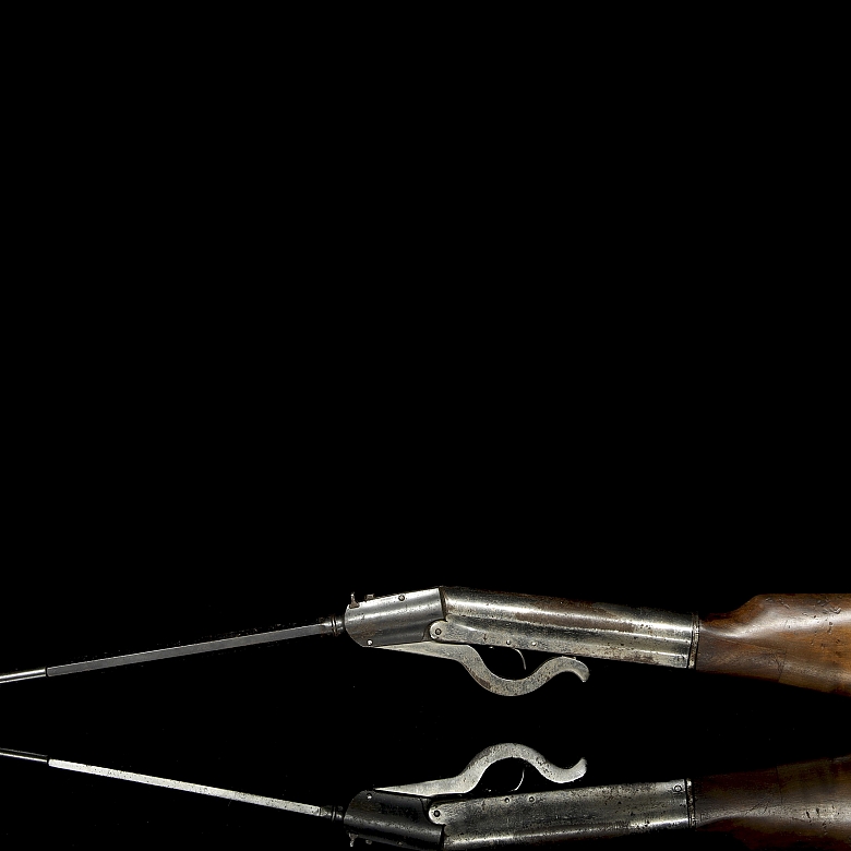 Air rifle, 19th-20th century