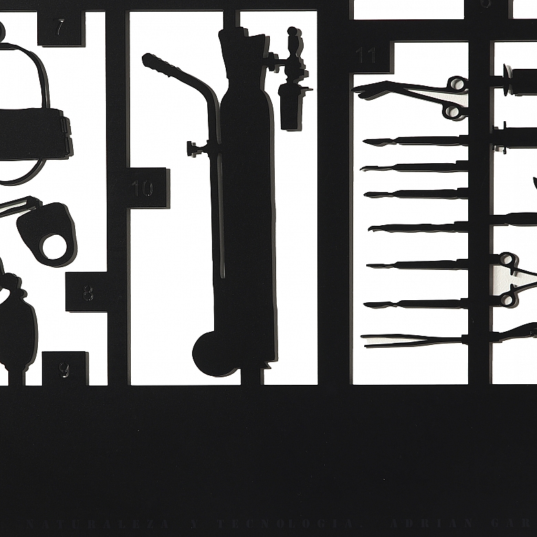 Adrián García Gutierrez (1969-) “Naturaleza y Tecnología” (Médico), 2005