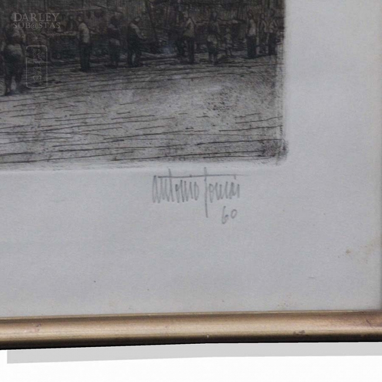 Antonio Tomas San martin 