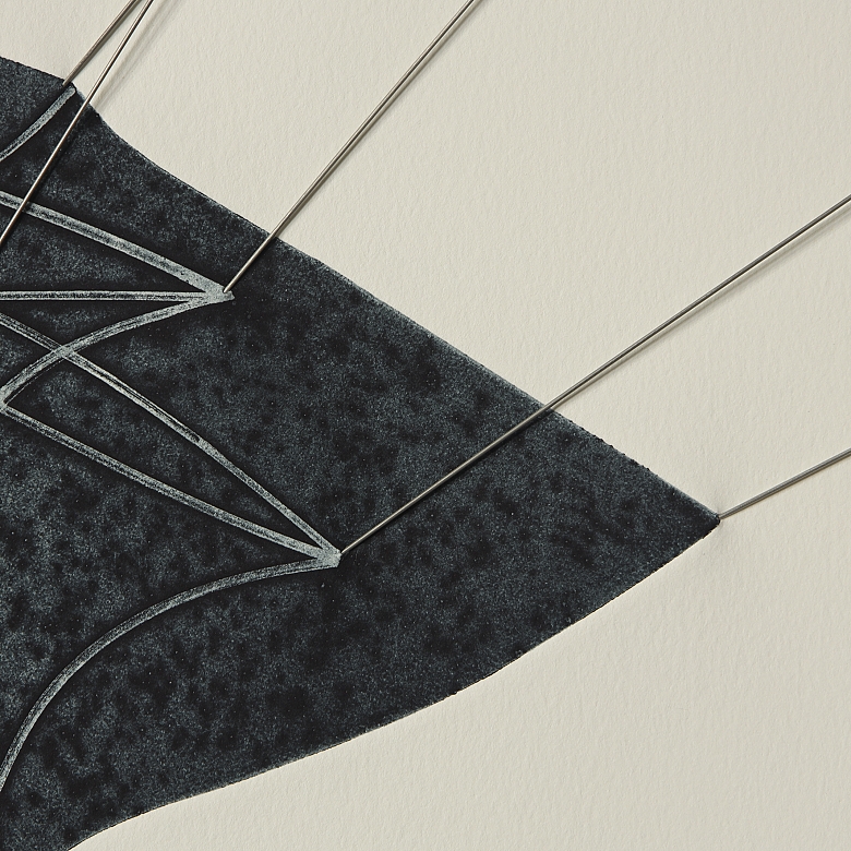 布兰卡·穆尼奥斯·冈萨洛 Blanca Muñoz Gonzalo (1963) 《分歧者》,2005